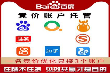 百度推广代运营案例：案例分享：打造行业领军品牌